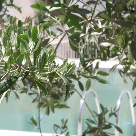 Hotel Colle Del Sole Alberobello