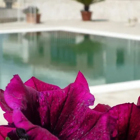 Colle Del Sole Hotel 4*