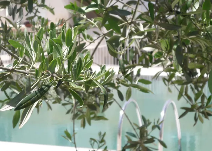 Hotel Colle Del Sole Alberobello