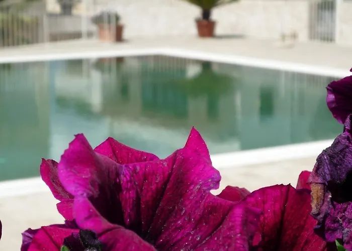 Colle Del Sole Hotel 4*